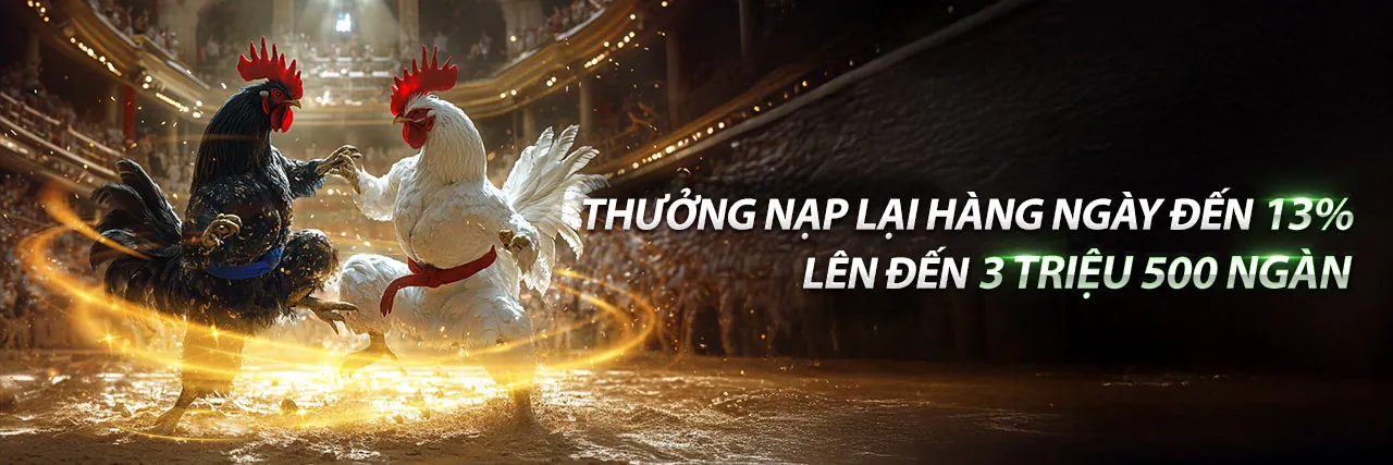 Sảnh đá gà trực tuyến win2888 uy tín nhất Việt Nam